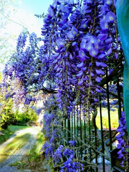 La Torretta Bed & Breakfast Torriglia Zewnętrze zdjęcie